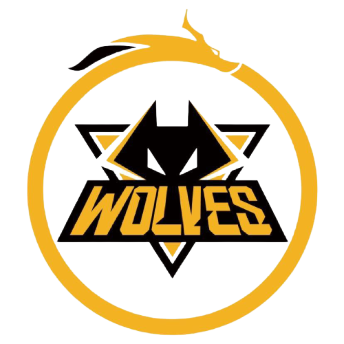 挪威足球队 挪威足球队